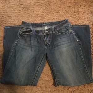 Maurices 11/12 short dark jeans